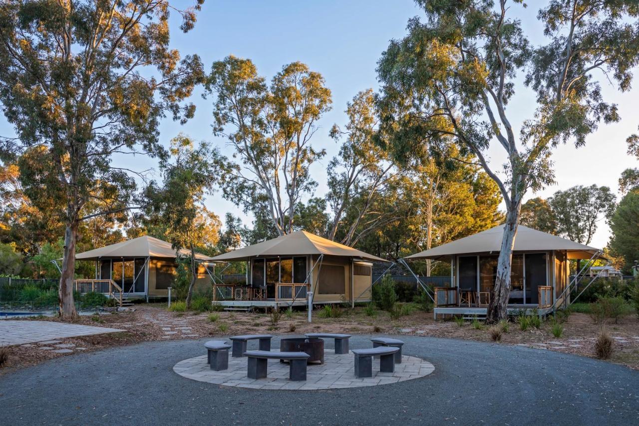 Discovery Parks - Barossa Valley تانوندا المظهر الخارجي الصورة